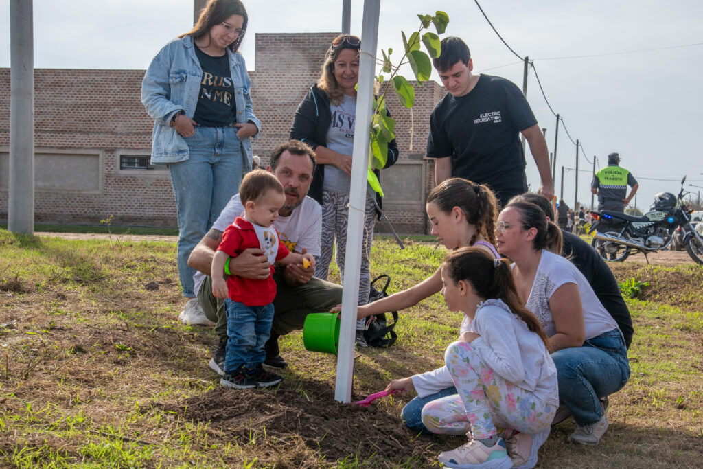 plantacionarbol