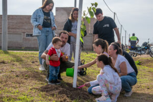 plantacionarbol