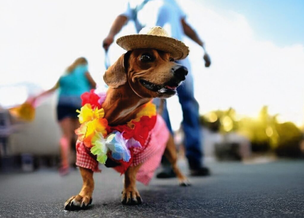 perro salchicha