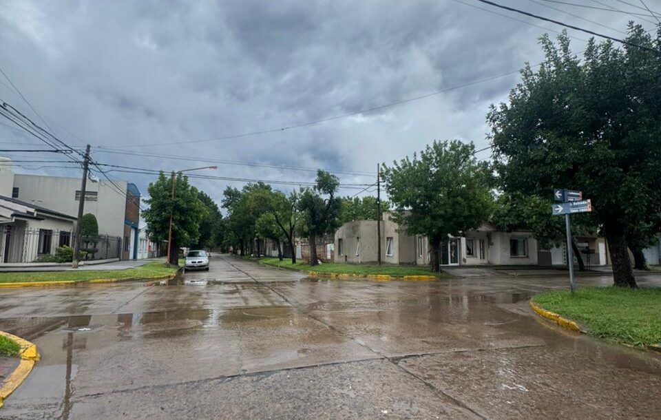 WhatsApp Image 2025-12-20 at 20.31.17 (1)